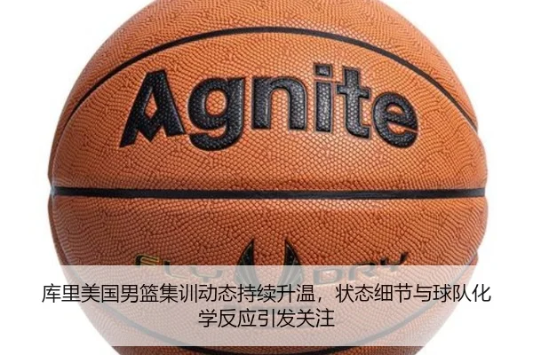 img_1781350059954_11_1_193.jpg